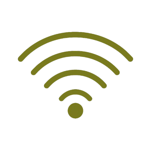 consulta médica online de suelo pélvico con conexión wifi estable