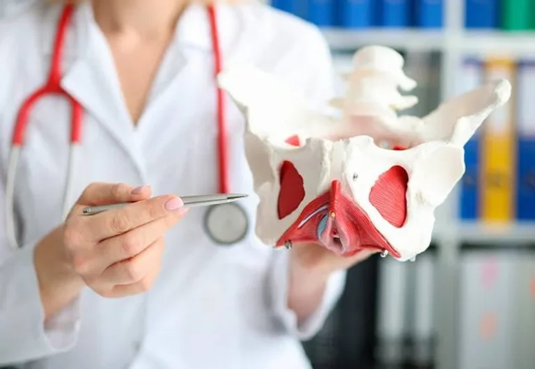 que es el suelo pelvico sintomas y patologias